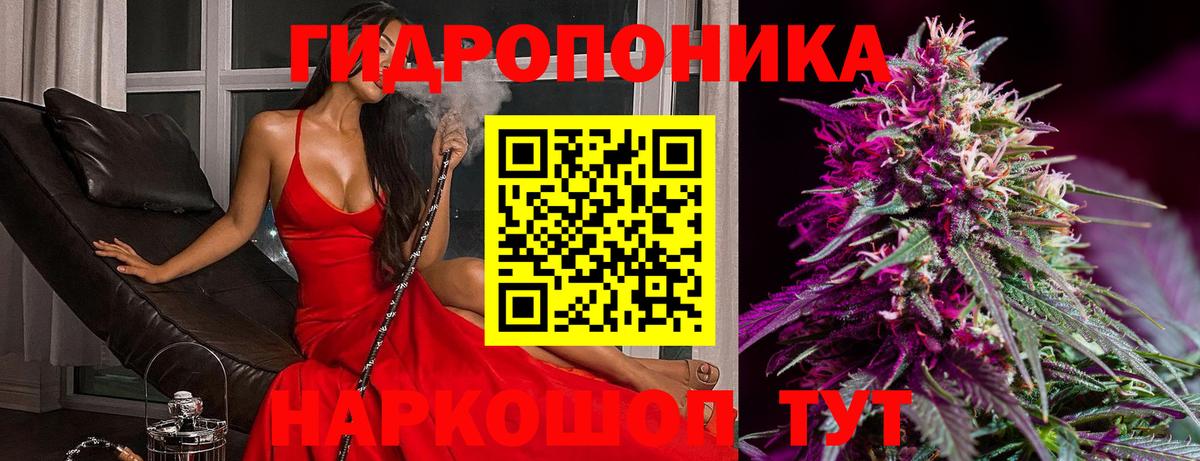 Городец  Марихуана Bruce Banner  Канабис тримм  Вход с VPN  МАРИХУАНА индика 